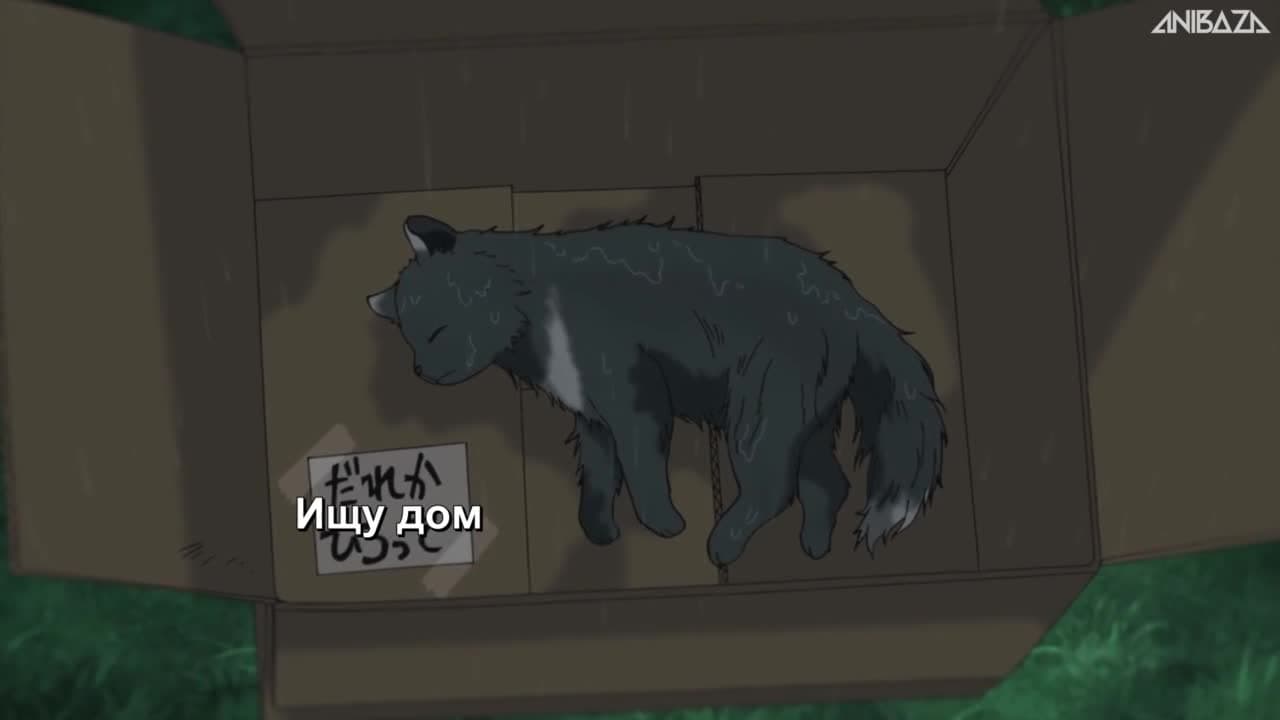 Слишком милый кризис — кадр 5