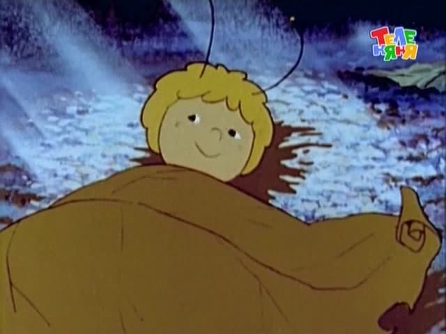 Пчелка Майя [ТВ-2] — кадр 1