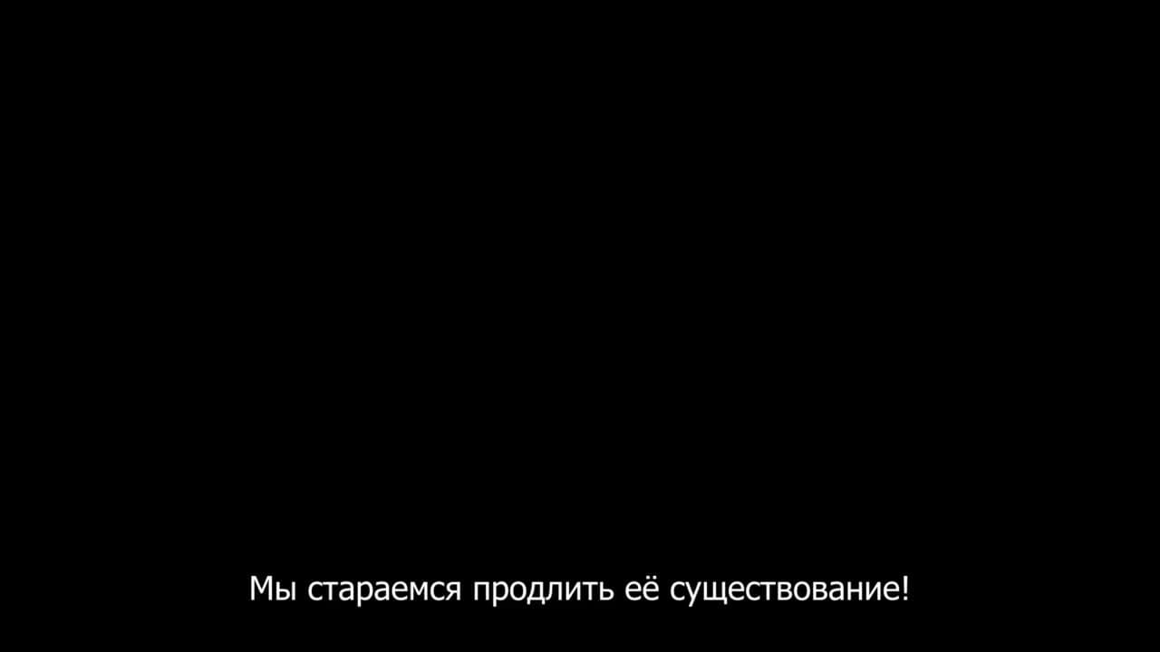 Записи о магии [ТВ-2] — кадр 1