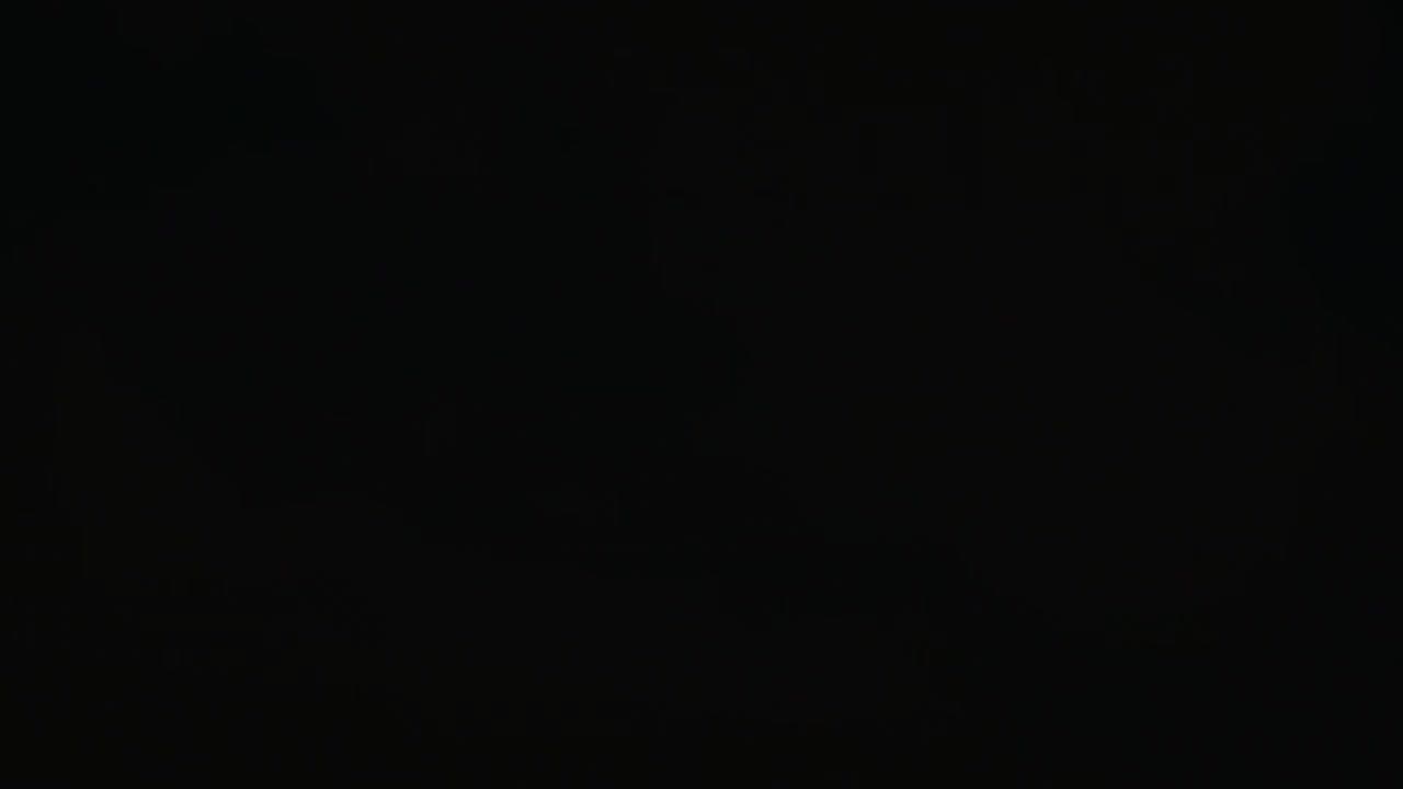 Отвергнутый священный зверь — кадр 4