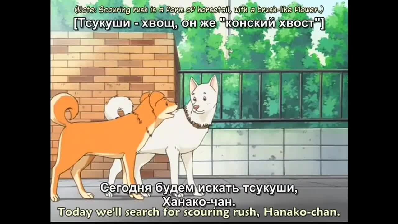 Вперёд! 2 — кадр 2