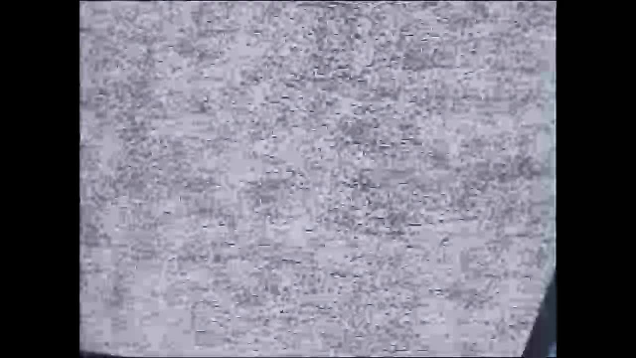Звёздные коты — кадр 2